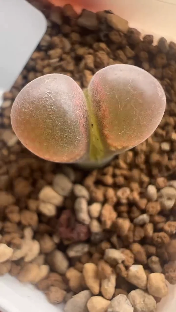 119。。。。。。。。。。。。。。。