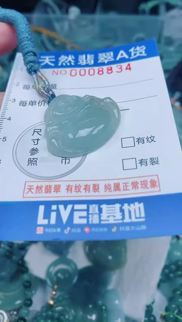颈饰未镶嵌翡翠00008834