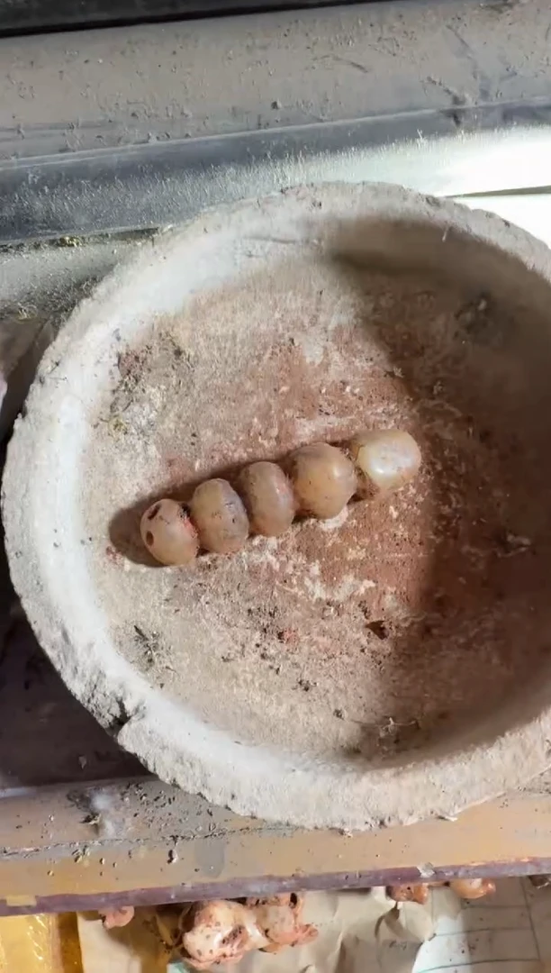 摆件瓷器瓷器瓷器瓷器