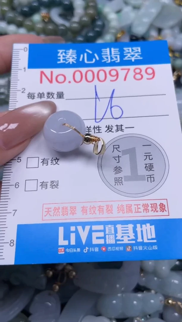 颈饰未镶嵌翡翠9789