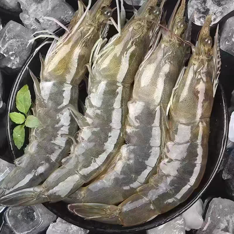 【盐冻大虾】全规格  海洋大虾极速锁鲜新鲜活冻 冷冻大虾
