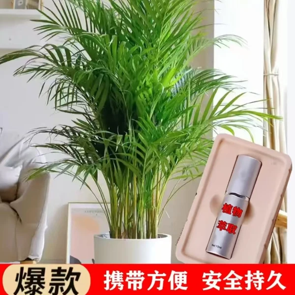 植物营养液【护理滋润持久浇灌营养液】ZNN