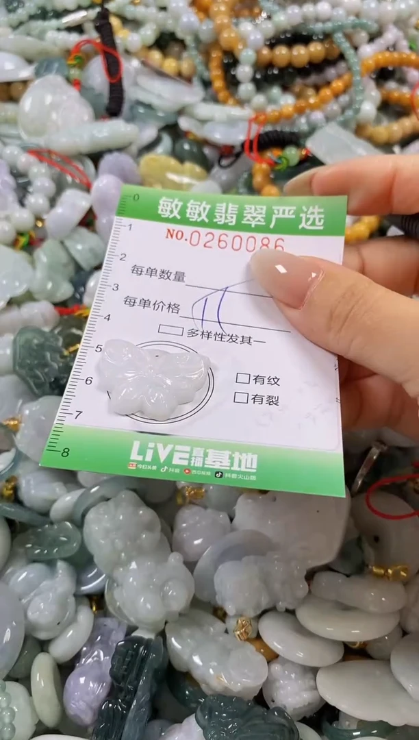翡翠未镶嵌颈饰闪购0260086