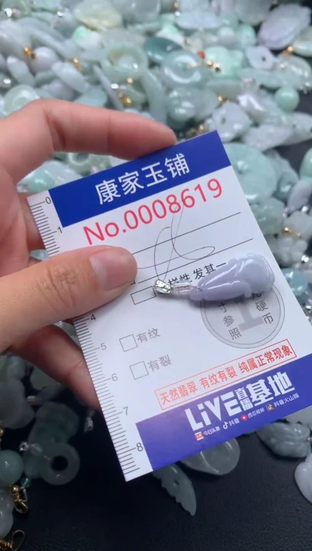 颈饰未镶嵌翡翠8619