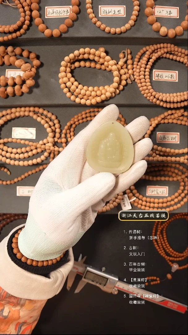 【闪购商品】五线菩提吊坠手串