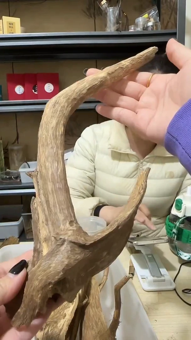 【闪购商品】沉香摆件162号海南根部野料31克+