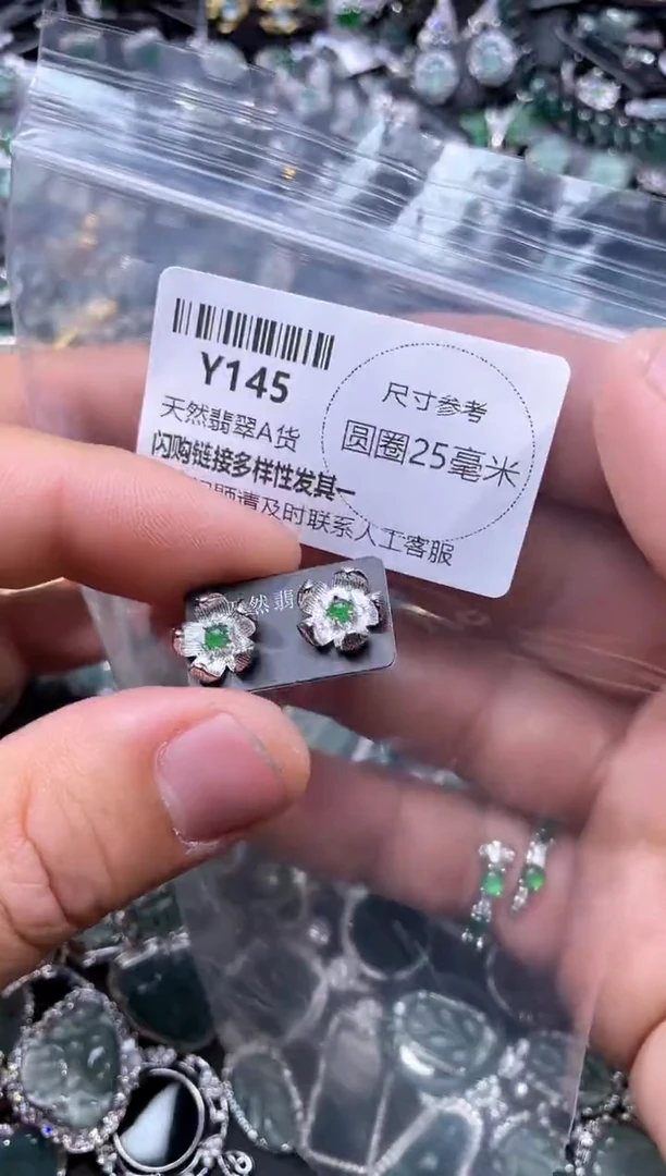【闪购商品】翡翠颈饰未镶嵌Y145耳钉