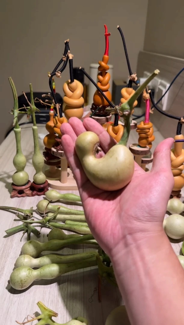 、***辰文玩葫芦手把件异形SX