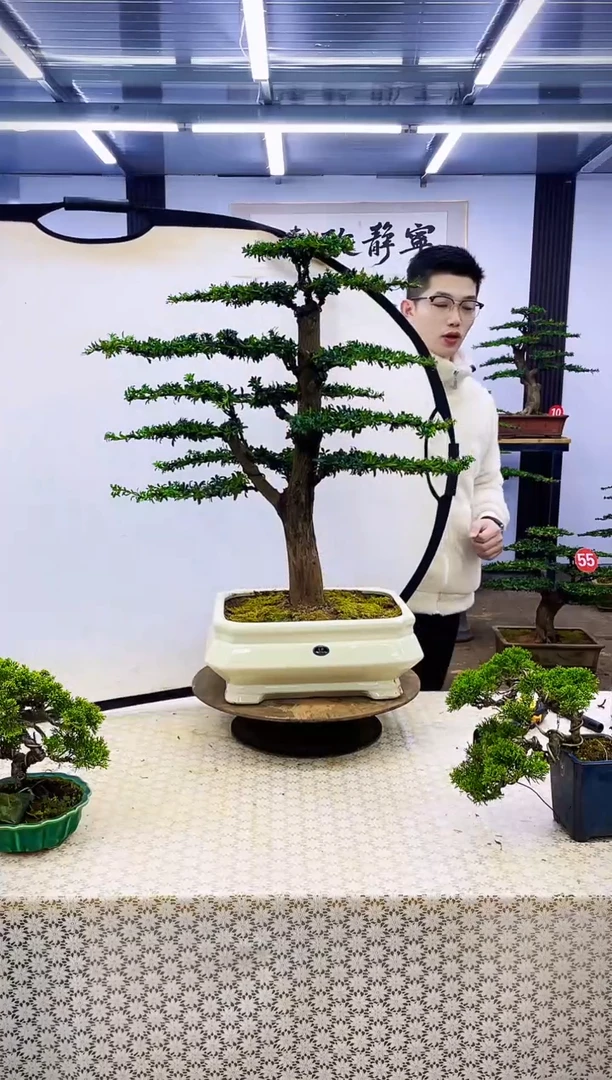 无花朵000000000000000