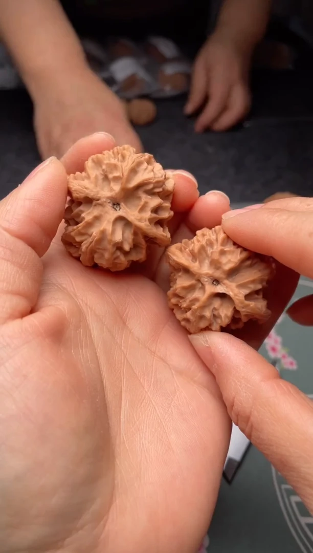 把件文玩核桃w259  苹果园40尺