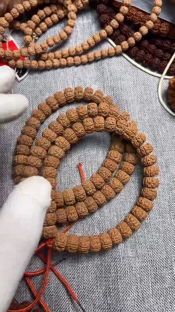 吊坠金刚菩提纯血勿里达老树王龙切，12尺