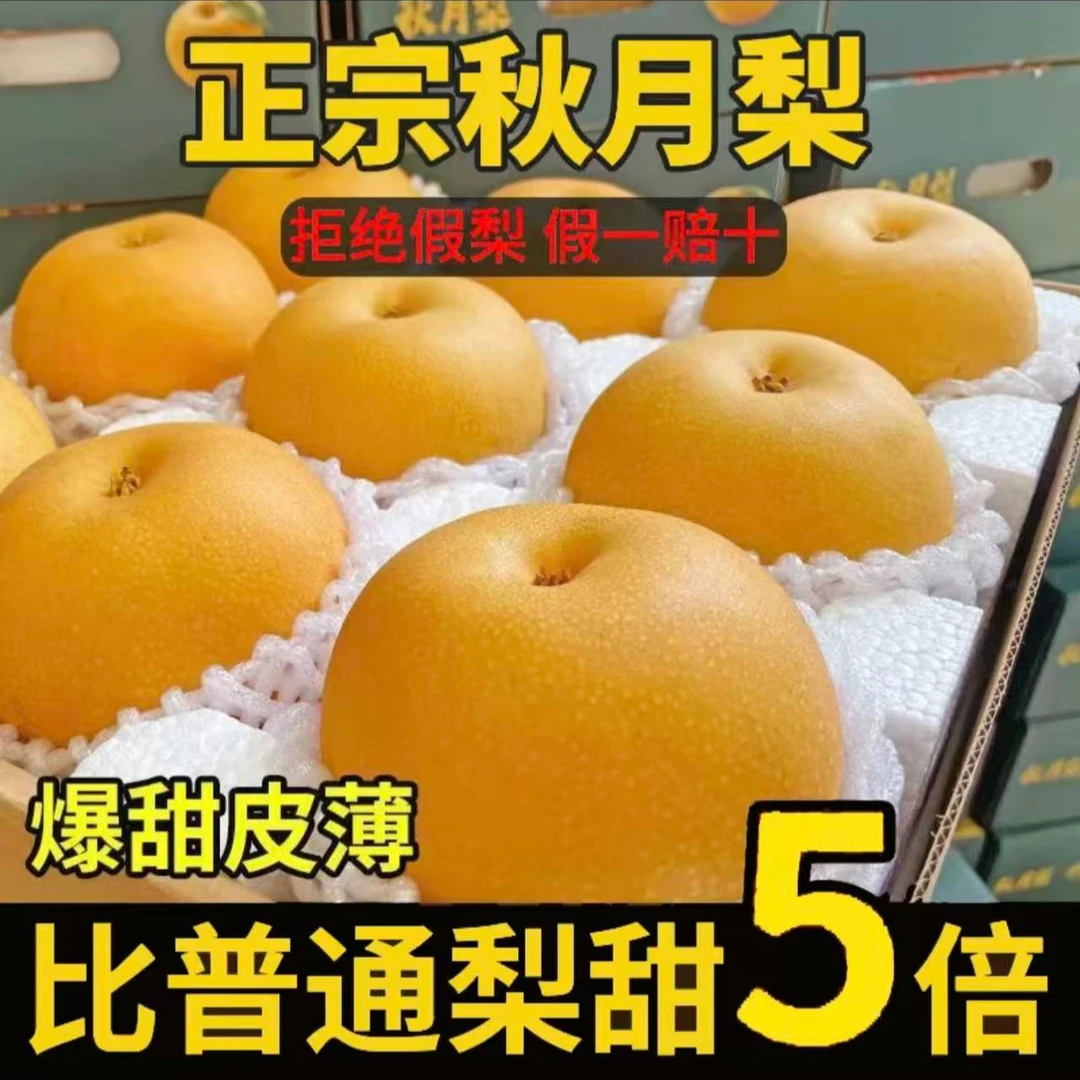 正宗莱阳新鲜现摘头茬秋月梨皮薄脆甜多汁细嫩化渣当季水果