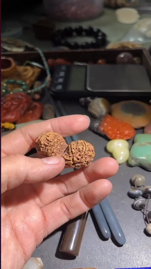 吊坠金刚菩提pz1125-15十四瓣连体珠子单珠