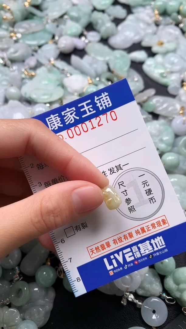 颈饰未镶嵌翡翠1270