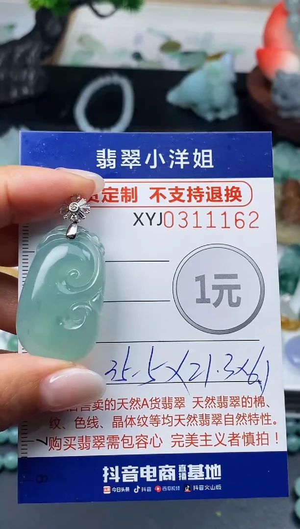 未镶嵌定制翡翠L****活毛货商品 不退换/ 1162