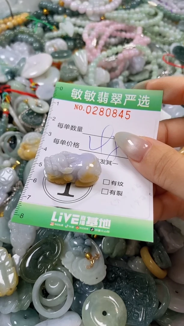 翡翠未镶嵌颈饰闪购0280845