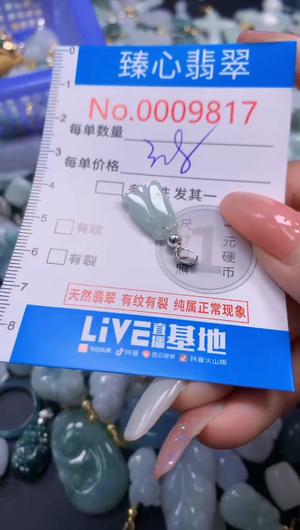 翡翠未镶嵌颈饰9817