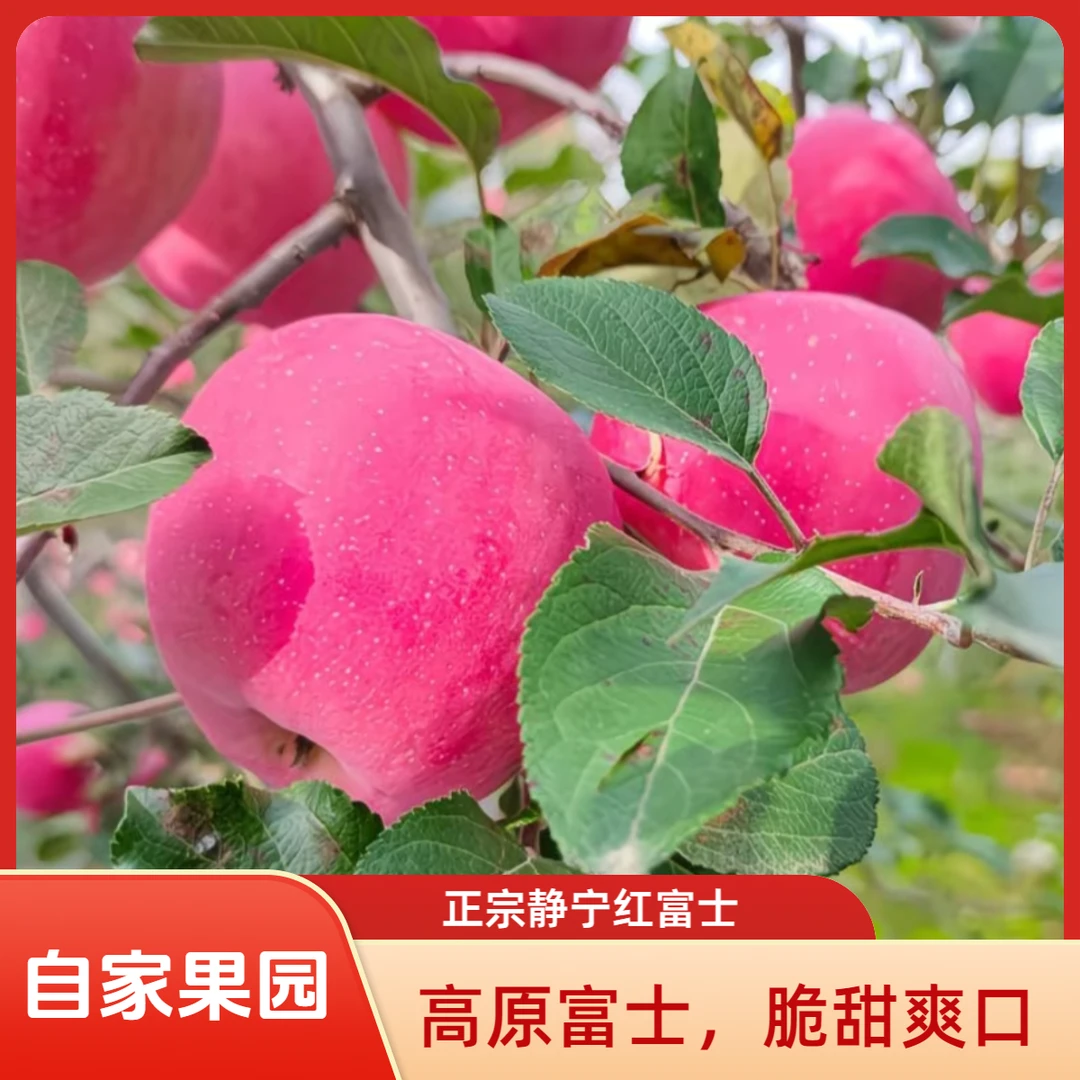 甘肃静宁红富士苹果产地直发新鲜采摘脆甜多汁皮薄肉厚应季水果