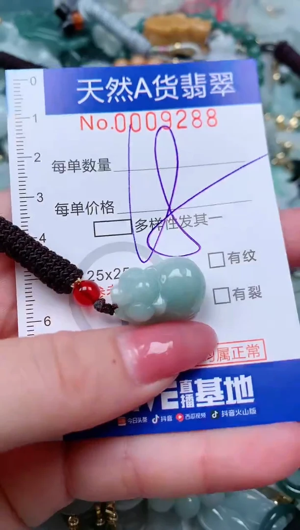 【闪购商品】翡翠颈饰未镶嵌00009288