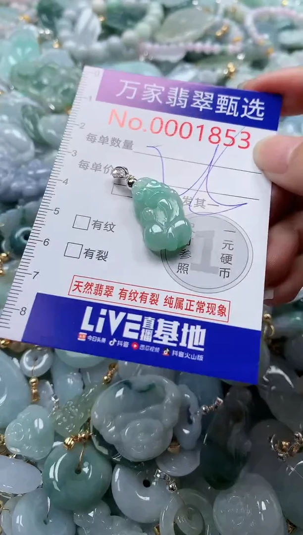 翡翠未镶嵌吊坠(不含链)1853