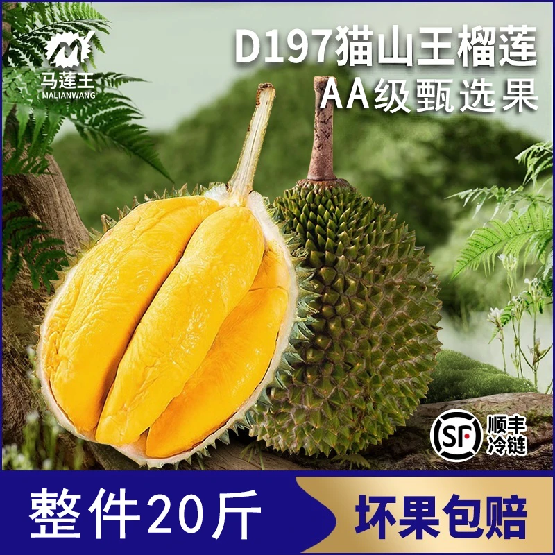 AAA果包纯满5～6房 高级精选特级产地30年树龄老树