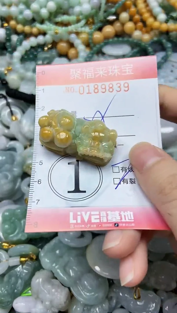 翡翠未镶嵌颈饰闪购0189839