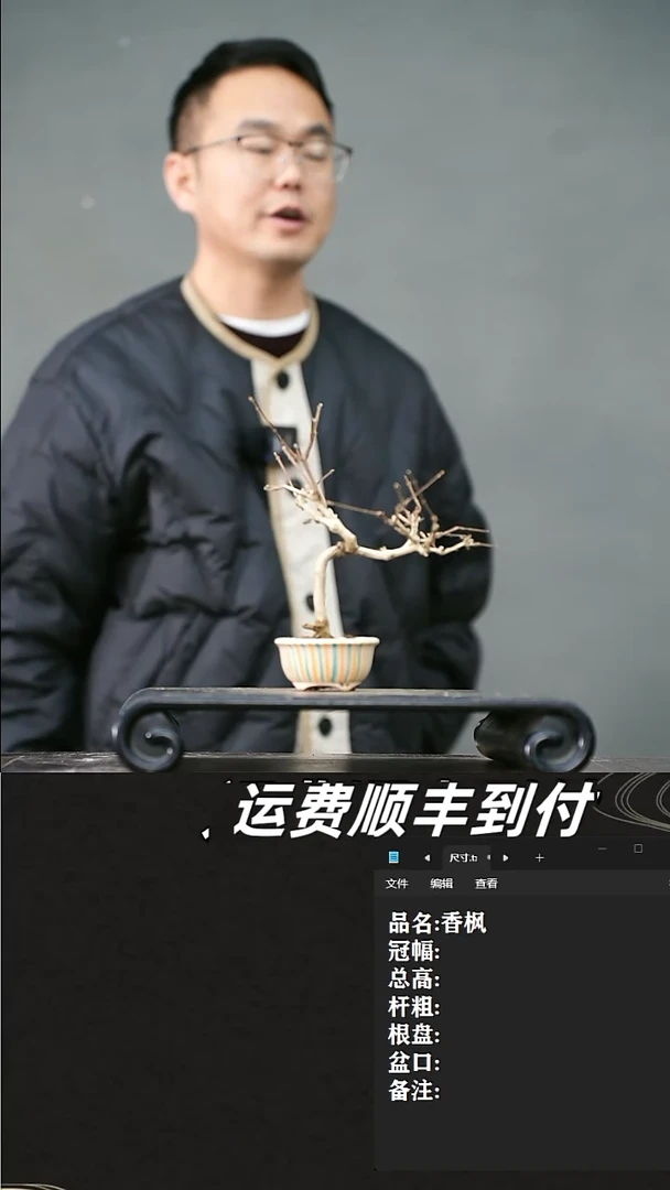 【闪购商品】49 香枫