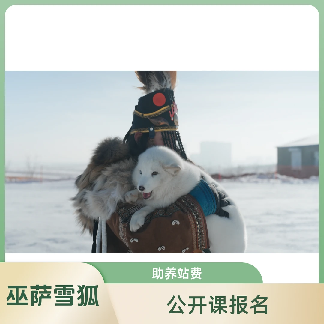 巫萨《人生基层逻辑》直播公开课