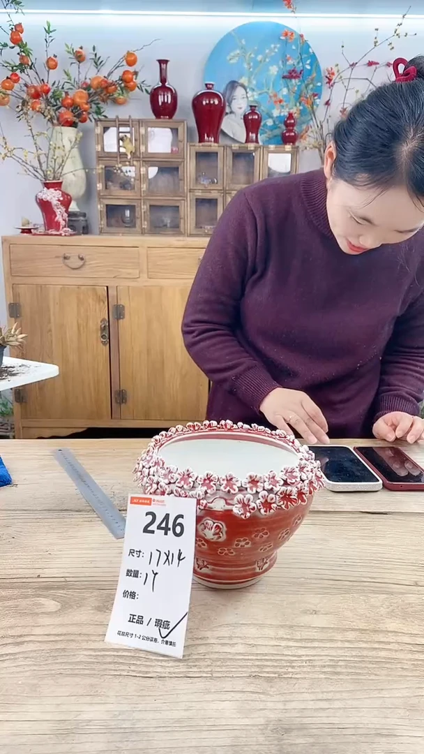 【闪购商品】红陶246