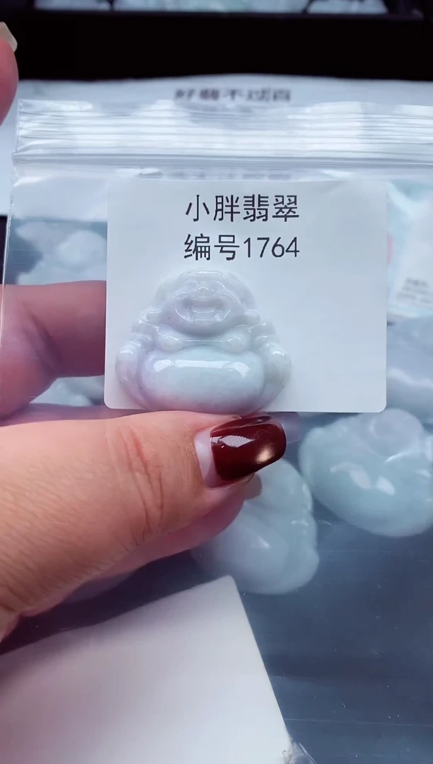 颈饰未镶嵌翡翠缅甸天然A货翡翠1764