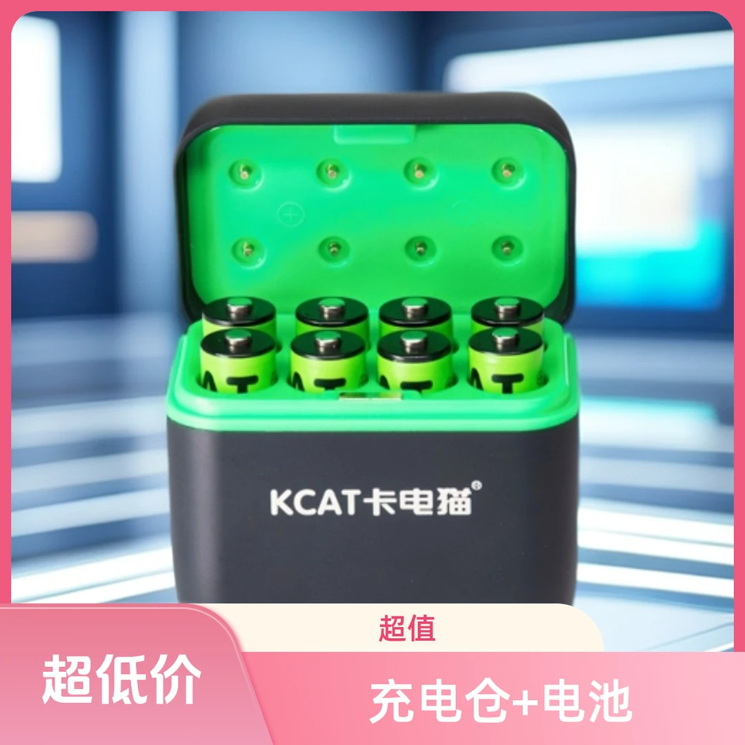 (正品)五号快充锂电池充电器大容量固态锂电池玩具智能门锁1.5V