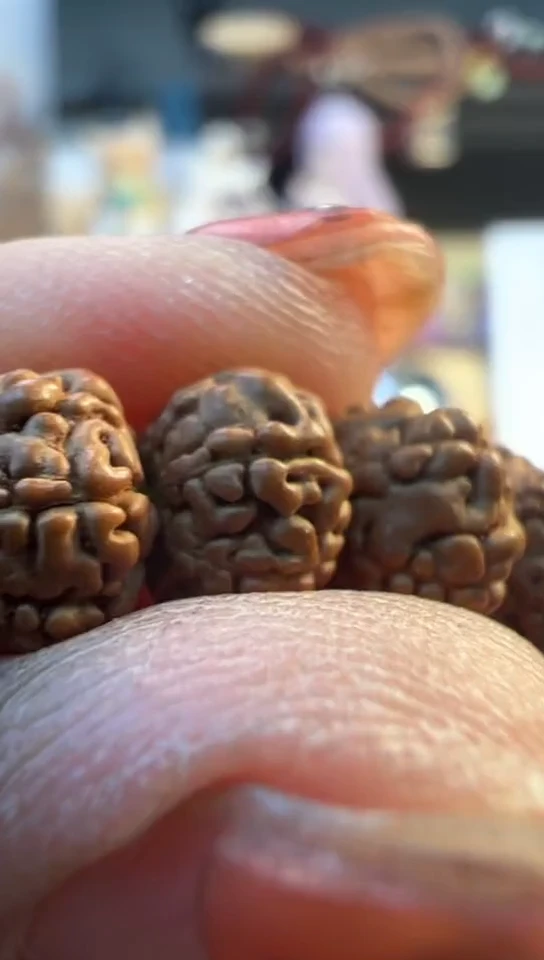 【闪购商品】金刚菩提手串695六瓣初代龙7-11葛地利籽