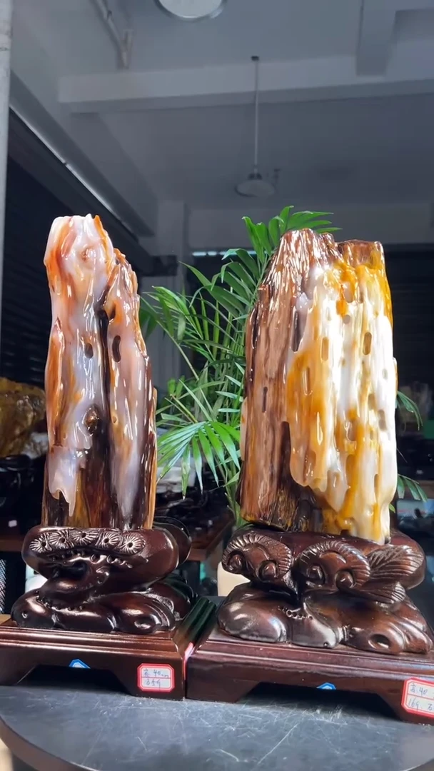 未镶嵌硅化玉（树化玉）珠宝奇石用****71720