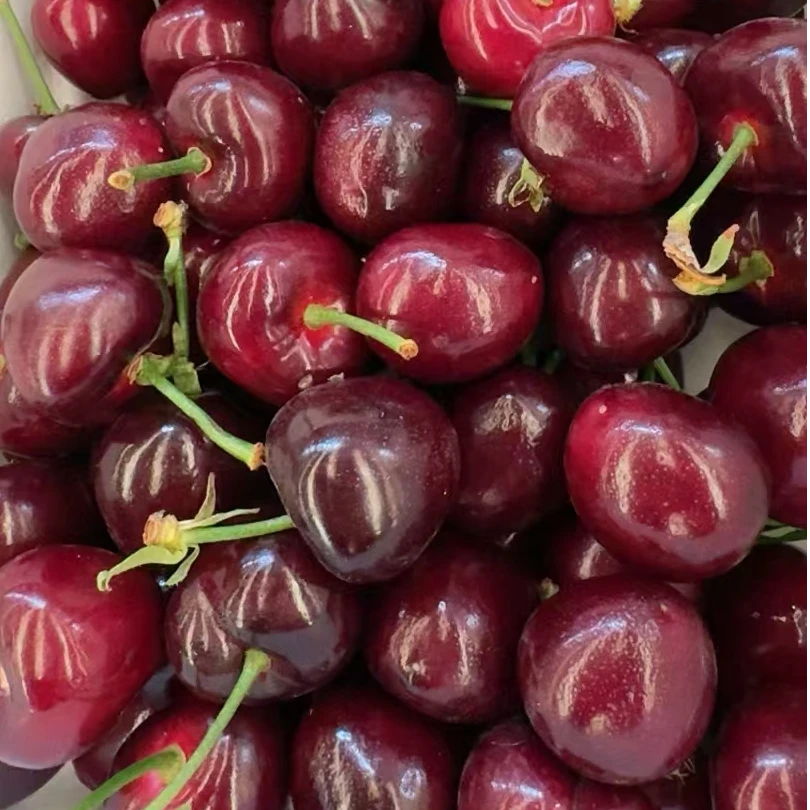 大美早山海关大樱桃车厘子品牌现摘现发原产地农民自营冷链空运