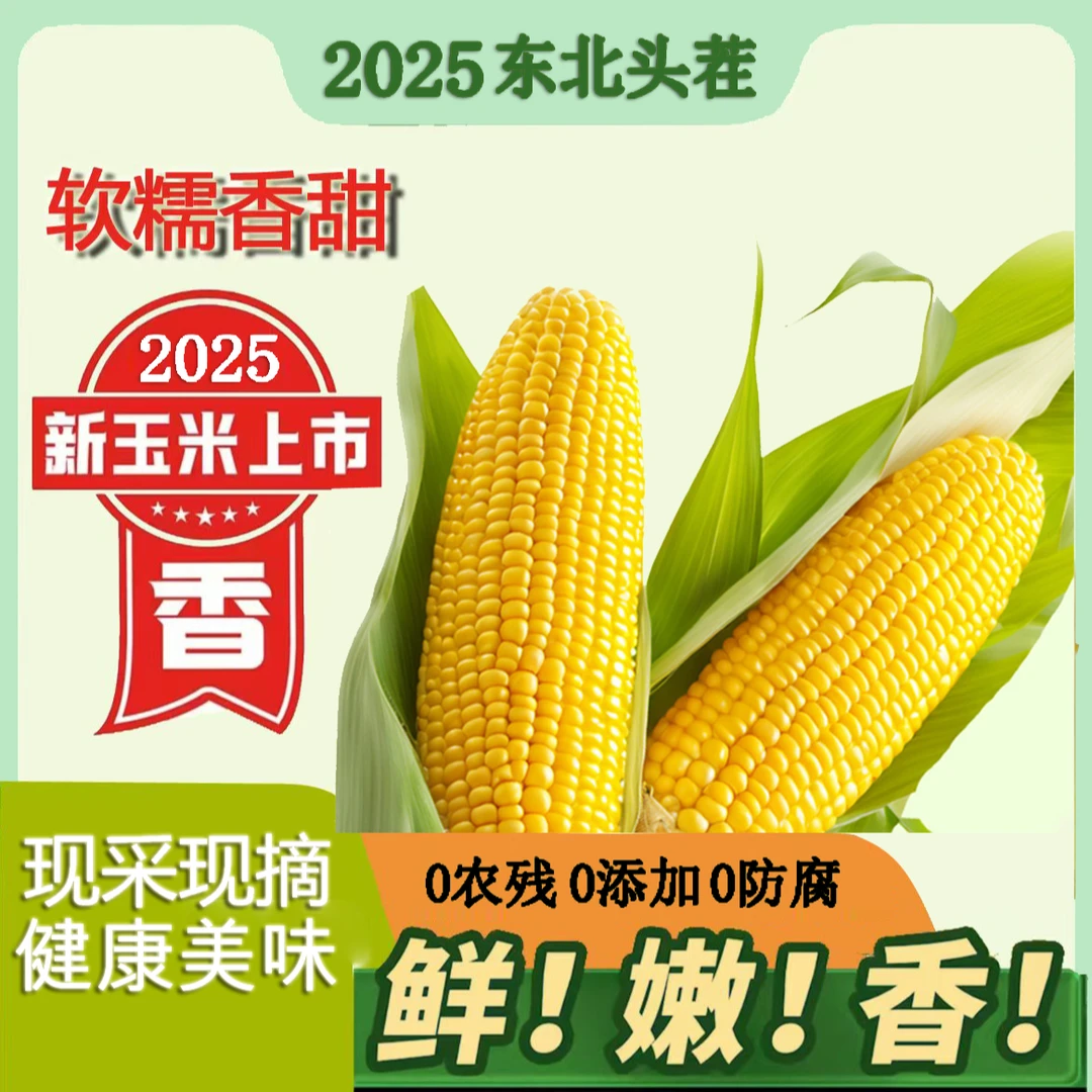 【咱们村专属】25年东北头茬黄玉米280g-350g整箱6斤10棒含2棒试吃