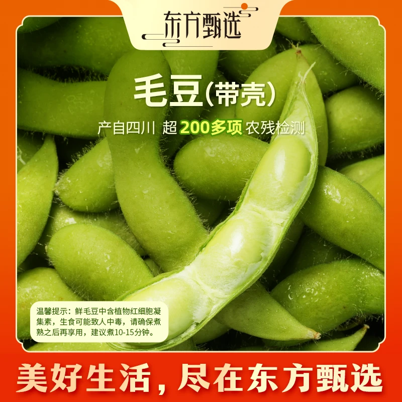 东方甄选自营鲜毛豆角带壳饱满青豆新鲜应季生鲜蔬菜坏蔬包赔顺丰