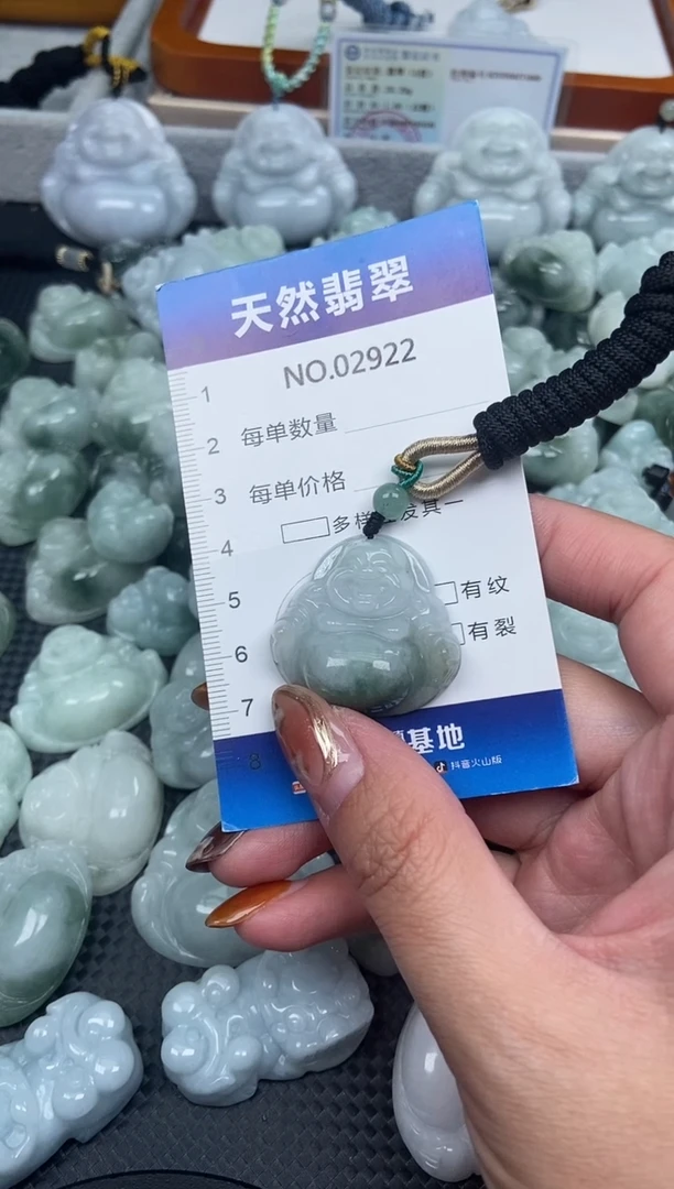 颈饰未镶嵌翡翠纯天然A货翡翠2922