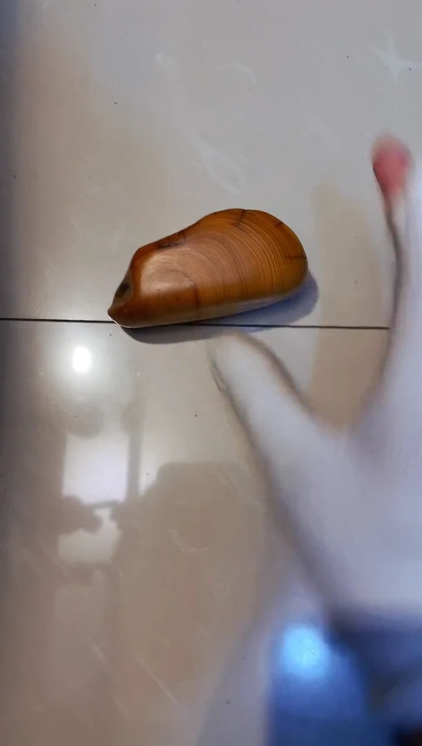 柏木79崖柏崖柏崖柏