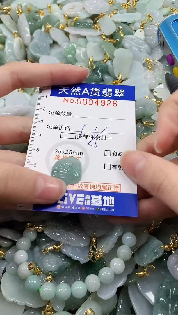 颈饰未镶嵌翡翠纯天然a货翡翠