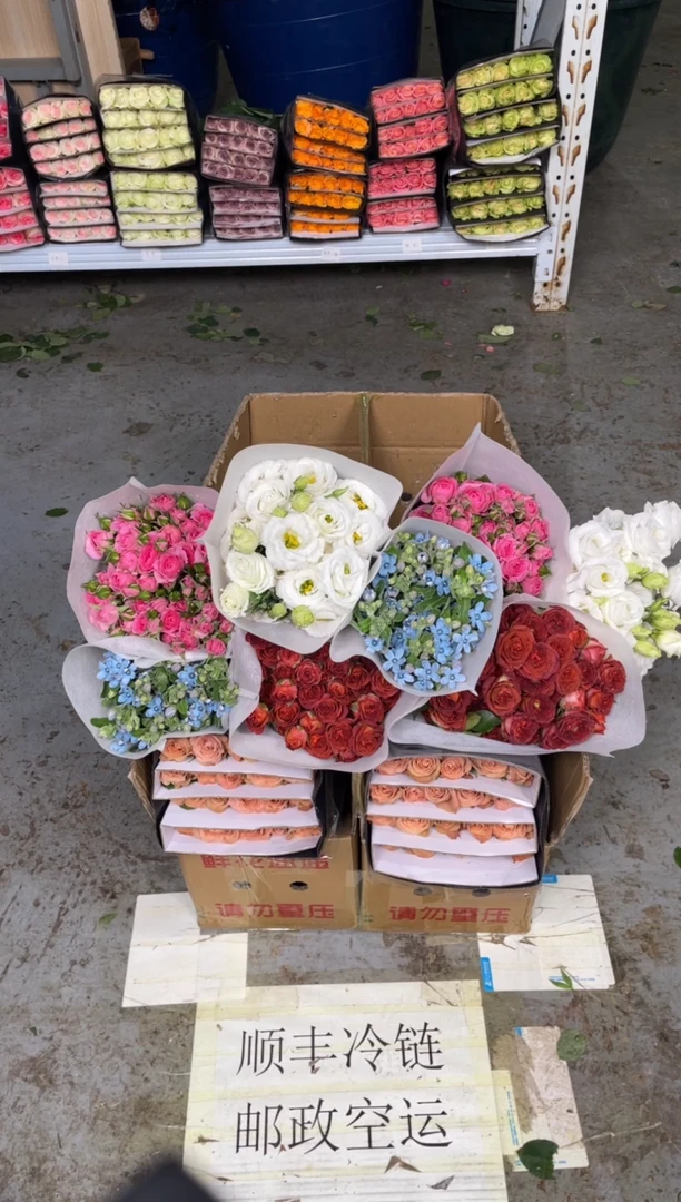 卡布20枝+巧克力10枝+蓝星花+白桔梗400克+苏菲10枝
