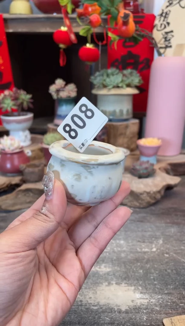 【闪购商品】摆件808知木小芳花盆