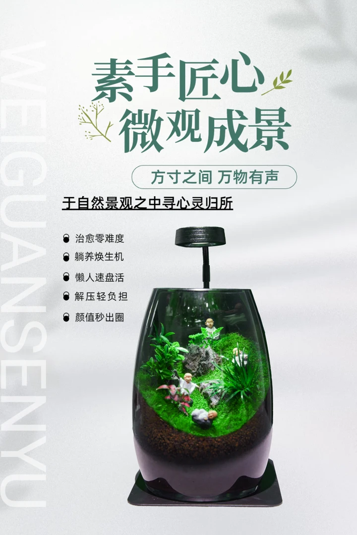 小罗汉桌面微景观生态瓶造景居家办公室装饰摆件青苔微盆景