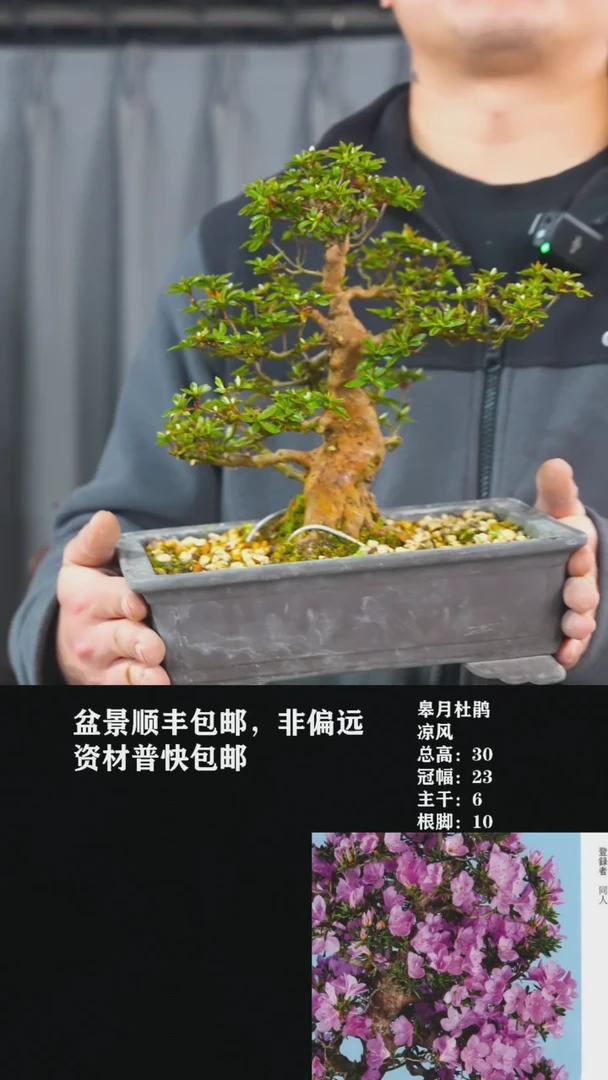 【闪购商品】-凉风-Y45