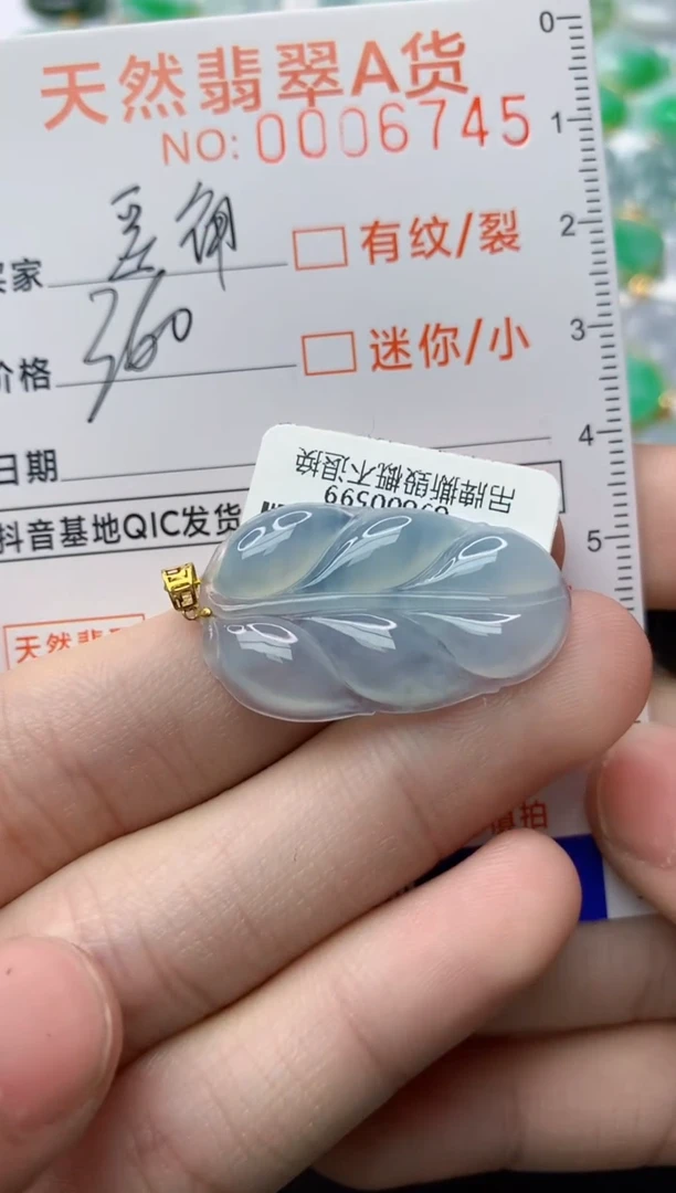 【闪购商品】翡翠颈饰18K金镶嵌豆角..........