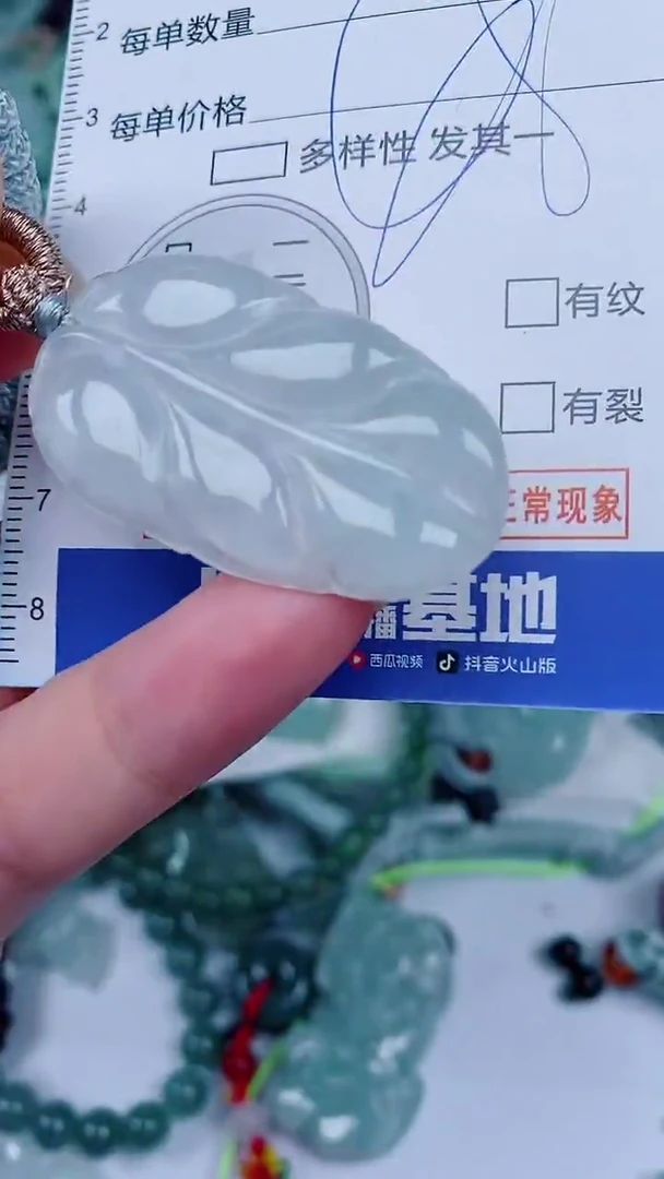 翡翠未镶嵌颈饰00002738