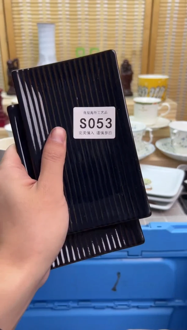 瓷片扔****西053ssssssssssss