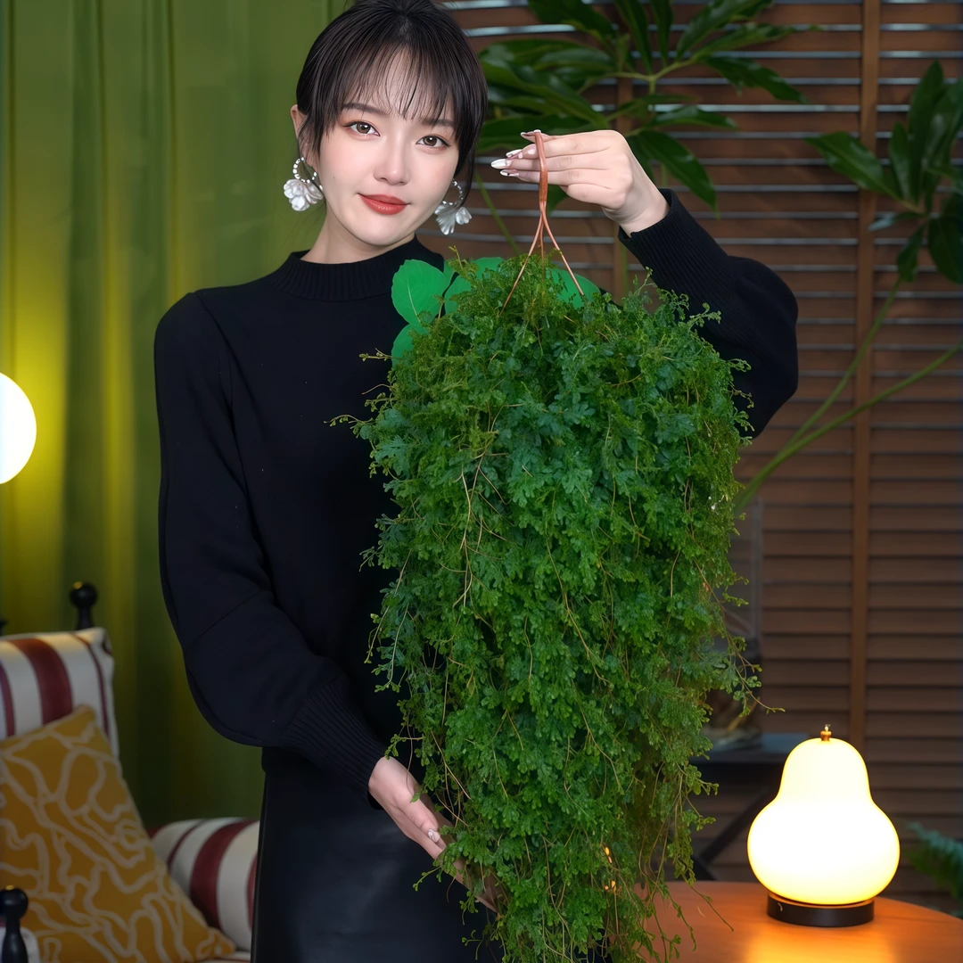 变色龙蕨翠云草珊瑚蕨会变色的新奇室内垂吊阳台好养耐阴喜水绿植