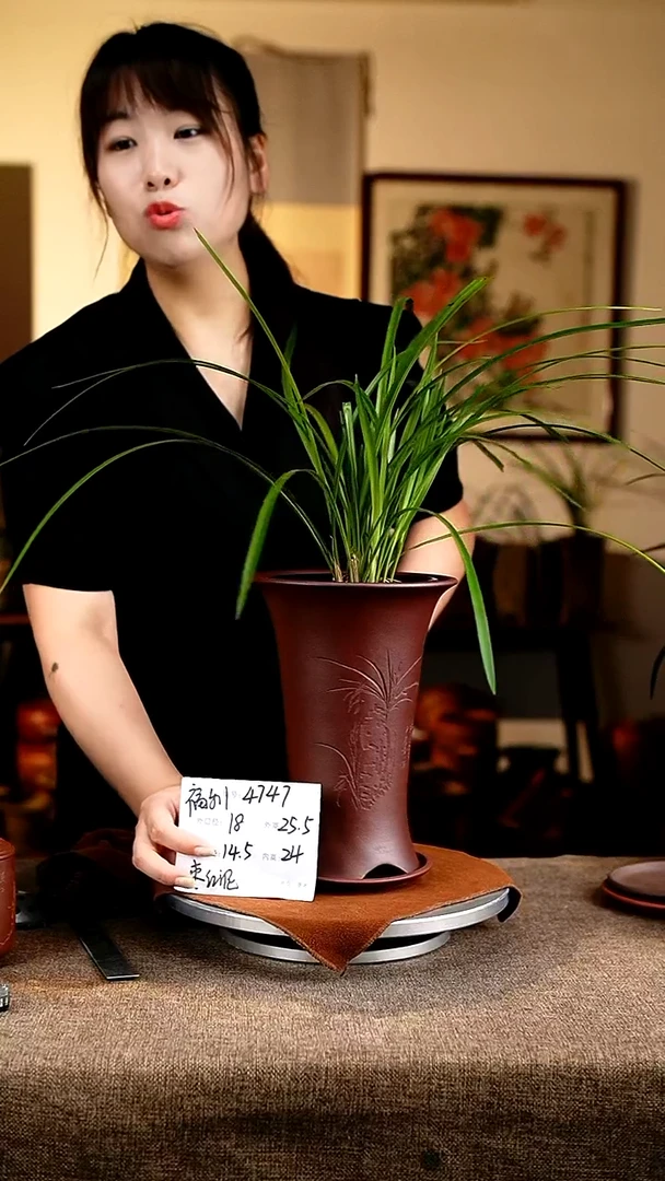 紫砂花盆花卉工艺4747+z