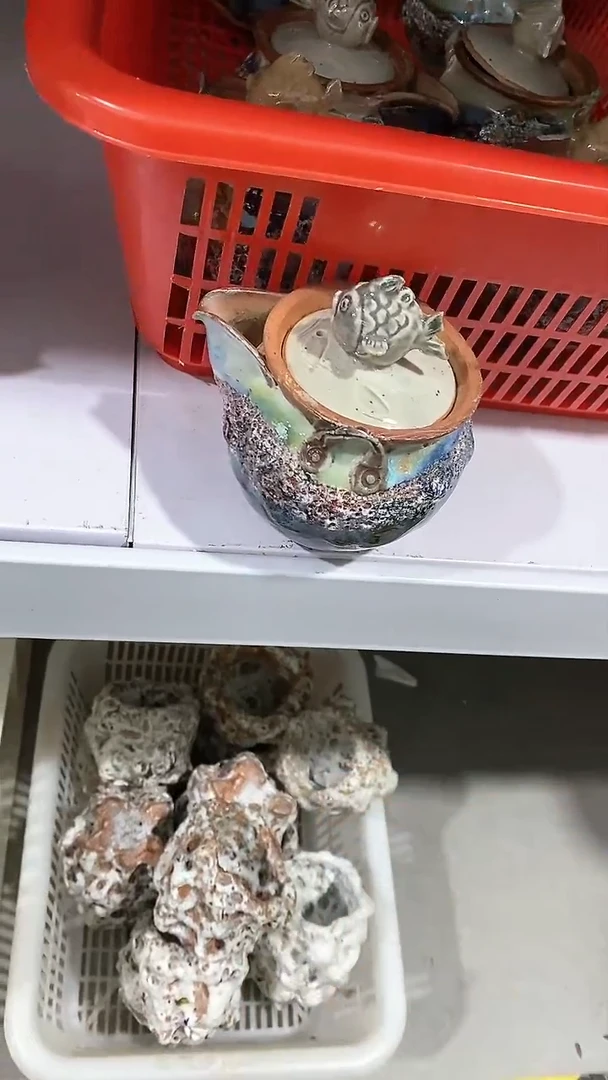 【闪购商品】瓷片陶瓷茶器孤品101