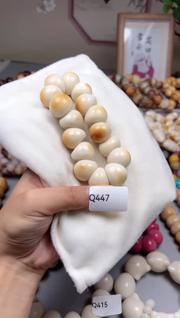 手串菩提根/象牙果Q447牙果蒜瓣肠20-22mm一串通货随机